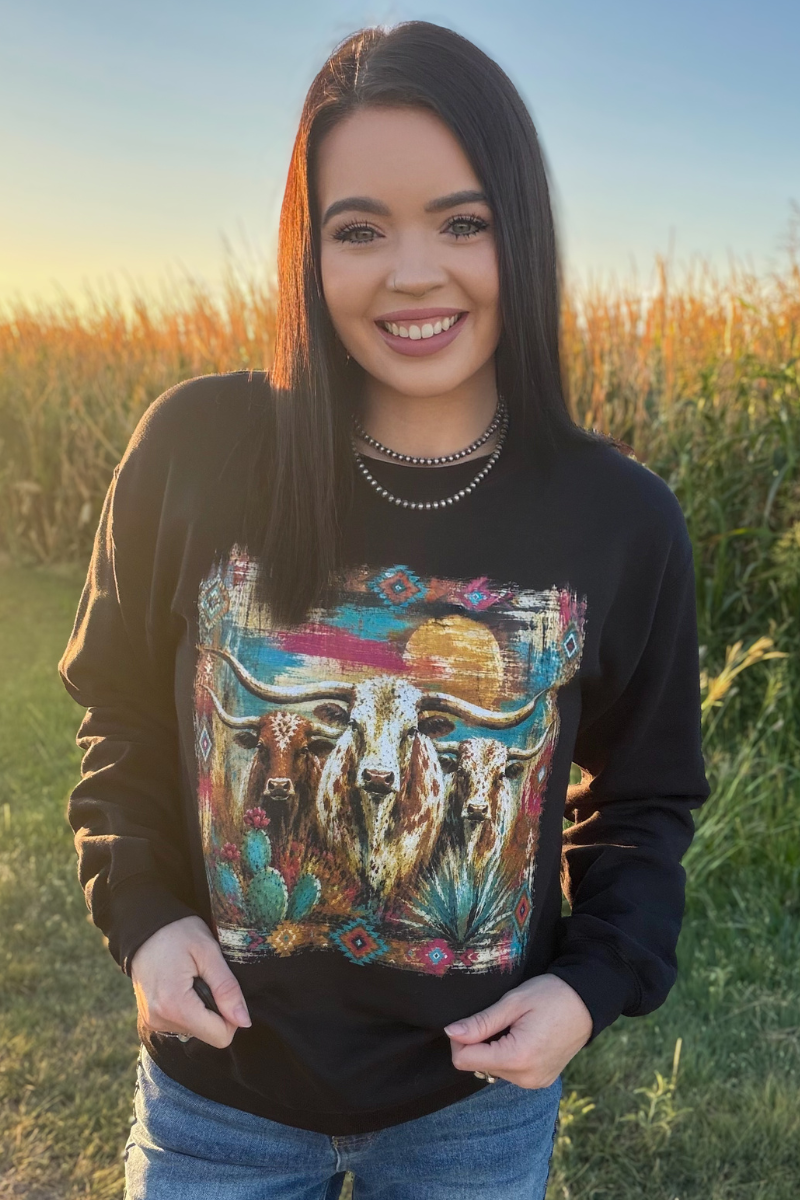 Painted West Pullover